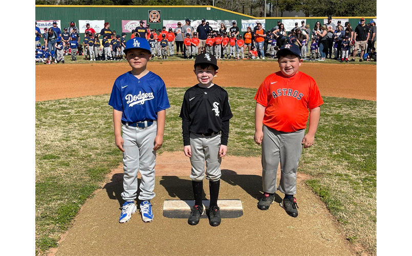 Alvin Little League Baseball > Home